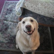 Customer Testimonails